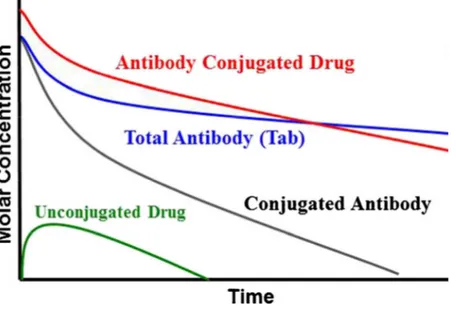 Figure 3. Schematic Pharmacokinetics profile of a classical ADC. The red line represents the serum concentration of  the ADC; the blue line represents the total antibody (conjugated and not conjugated); the black line represents the  drug conjugated with t