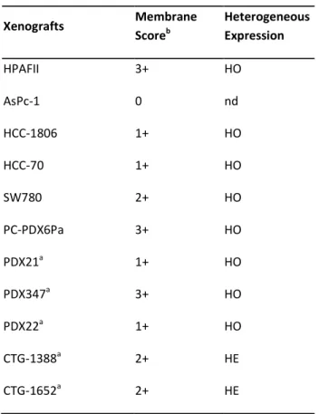 Table 2. Characterization of CD205 expression by IHC in a panel of human cell lines and patient derived xenografts