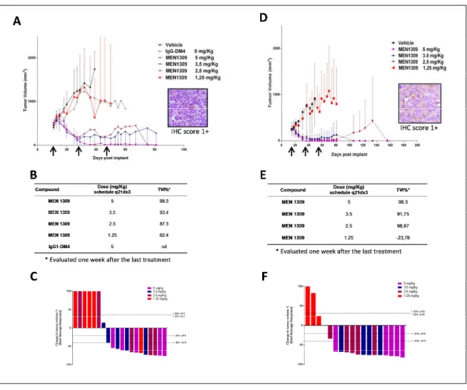 Figure 10. MEN1309/OBT076 antitumor efficacy against human TNBC. HCC-1806 (A) and HCC-70 (D) tumor 