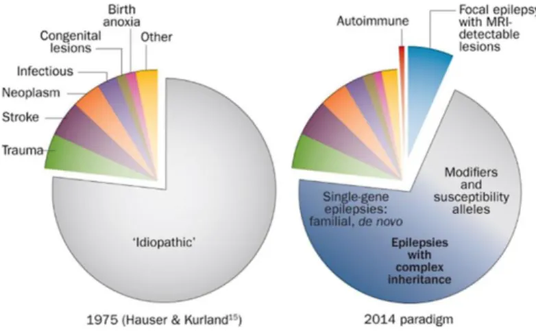 Fig. 3 Advances in understanding the causes of epilepsy. 