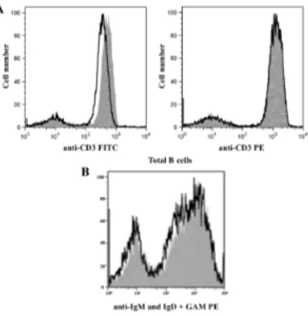 Figure 7: Fluorochrome stability and analysis of BCR shedding after cross-linking. A) overlaid histograms of human 