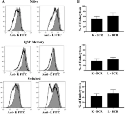 Figure  10:  BCR  endocytosis  induced  by  the  bivalent  ligation  protocol.  (A)  Representative  overlaid  histograms  of  the 