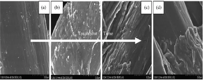 Figure I. 21 SEM micrographs of the hemp fibres surface: raw hemp (a), treated 15 min (b), 30 min (c), 40 