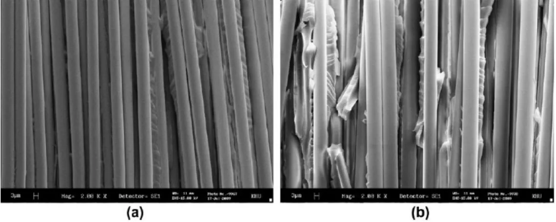 Figure I. 24 SEM micrographs of the fracture surfaces of basalt/epoxy woven composites after interlaminar 
