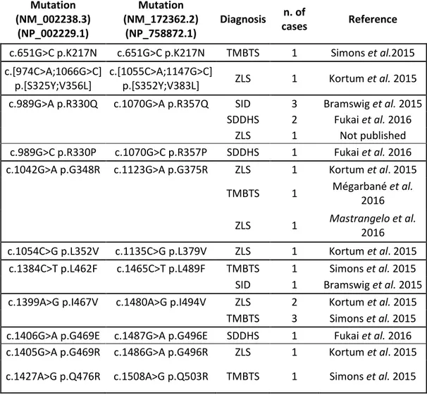 Table 1.  A summary of mutations identified in KCNH1 patients. 