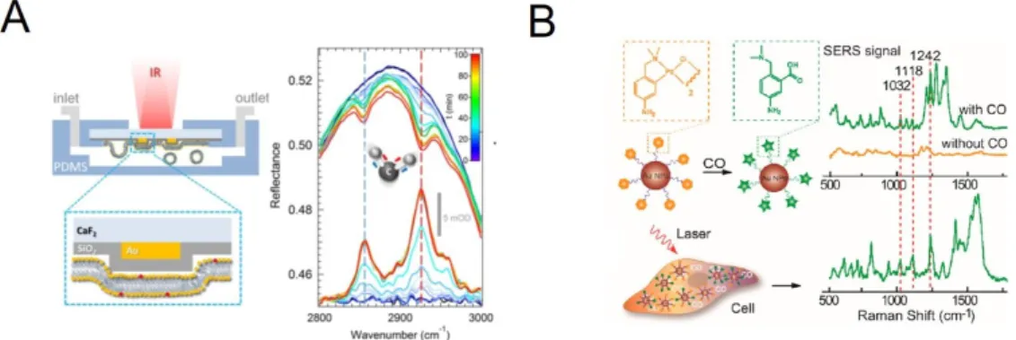 Figure 1.10. Plasmonic biosensors based on surface enhanced spectroscopies. (A) SEIRA biosensor consisting in array of gold nanoantennas assembled onto a CaF 2 substrate.