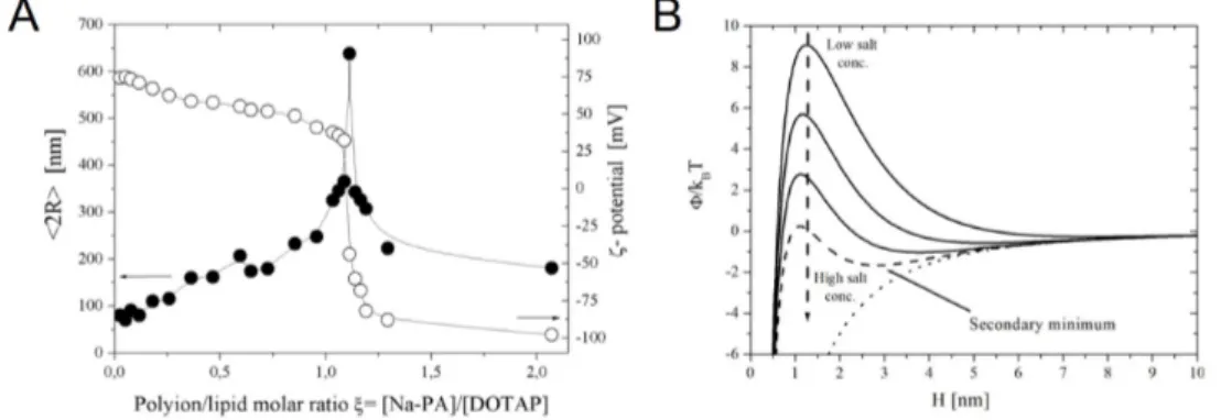 Figure 2.2. (A) Hydrodynamic diameter (black filled points) and ζ-potential (empty points) of colloidal liposomes complexes as a function of the molar charge ratio between sodium polyacrylate (Na-PA) and the synthetic lipid DOTAP