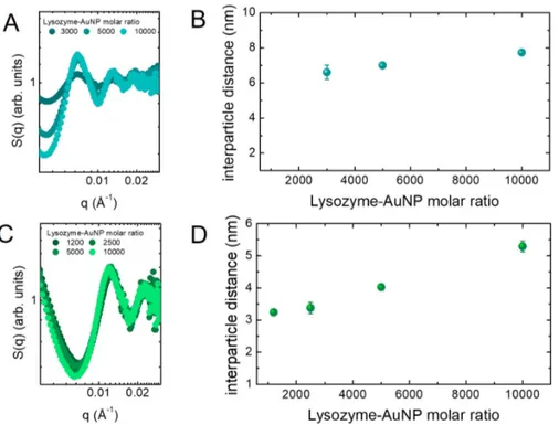 Figure 2.7. Analysis of the interparticle distance of Lyz-AuNP complexes, peformed on SAXS curves above the aggregation onset, for 100 nm (top) and 60 nm (bottom) AuNPs
