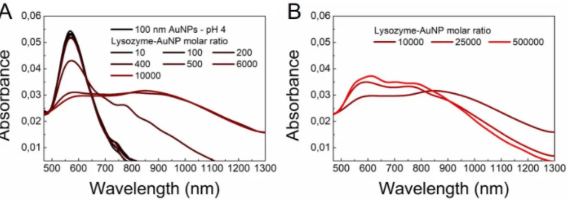 Figure 2.12. Representative absorption spectra acquired at different Lyz-AuNP molar ratios for 100 nm AuNPs at pH 4 before (left) and after (right) overcharging.