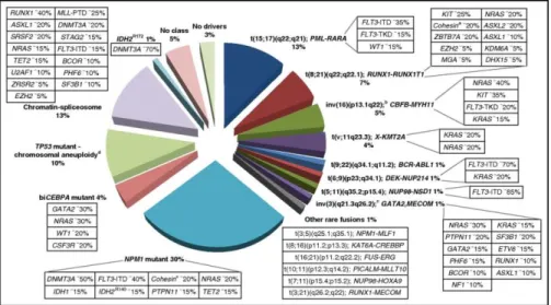 Figure  3.  AML  genomic landscape.  Distribution  of  cytogenetically  and molecularly  deﬁned subsets of AML presenting in younger adults up to the age of 65 years