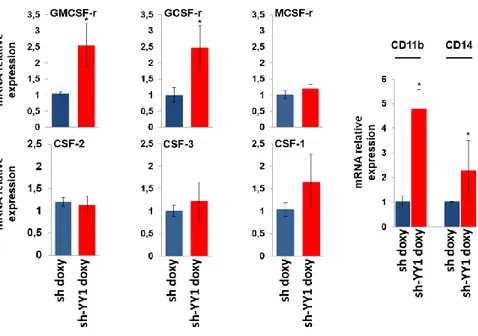 Figure  3:  Effect  of  YY1  knockdown  on  the  expression  of  extrinsic  growth  factors /receptors and surface antigenic markers.