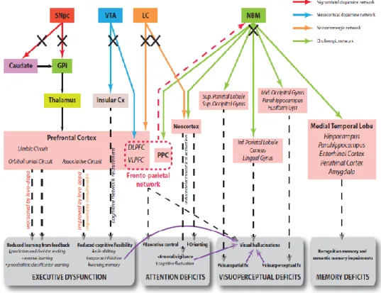 Figure 3. Hypothetical model of neural circuits malfunctioning in PDD and the corresponding cognitive 