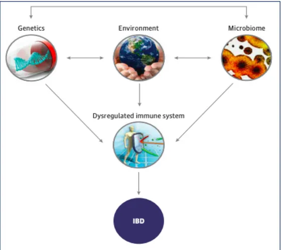 Figure 2. Factors involved in the aetiology of IBD (Shouval &amp; Rufo, 2017) 