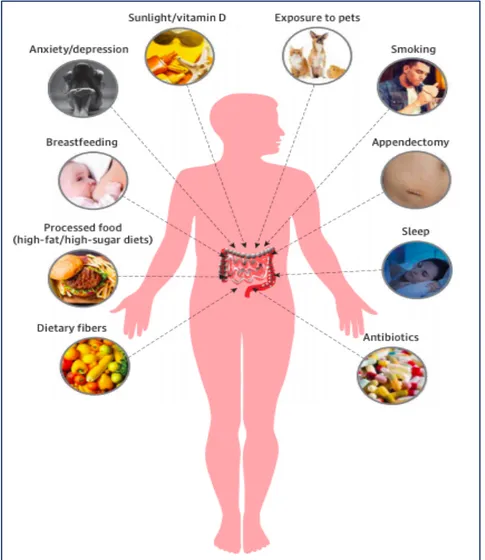 Figure 3. Environmental Factors  involved in the aetiology of IBD (Shouval &amp; Rufo, 2017) 