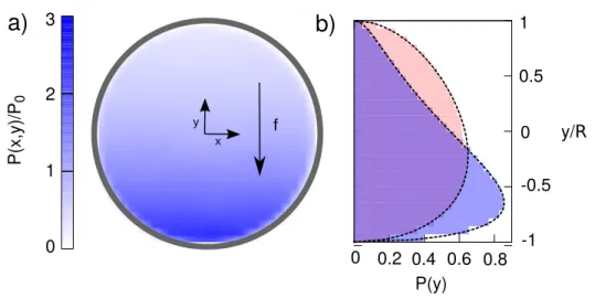 Figure 5.2: Distribution of particle position when a constant force orthogonal to the cylinder axis is applied
