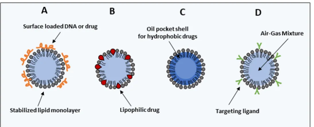 Figure 1.12: Different options for drug loaded MBs. The basic bubble design with heavy-weight hydrophobic gas core, stabilized by a lipid monolayer.