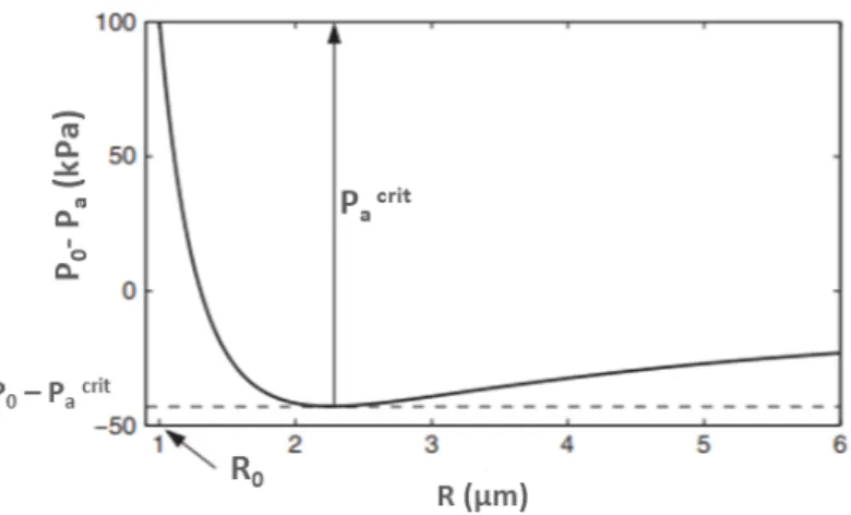 Figure 2.2: The curve is taken from the work of Louisnard et al. reported in [235]. It represents the evolution of the bubble equilibrium radius R when the liquid pressure p 0 − p a is decreased, for a 1-µm bubble in ambient conditions