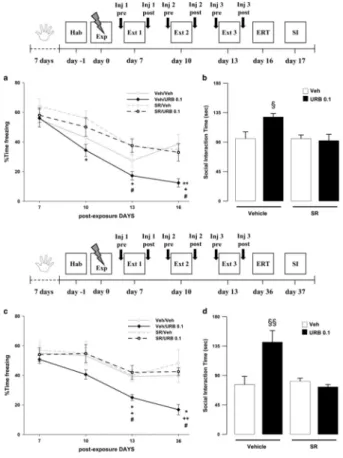 Figure 5. Freezing rates across (a) the 3 extinction sessions (Ext 1, 2 and 3) and extinction  retention test (ERT, day 16) and (b) social interaction (SI) time (day 17) of rats treated  with SR141716 (SR, 1 mg/kg) or vehicle (Veh) 30 min before, and with 