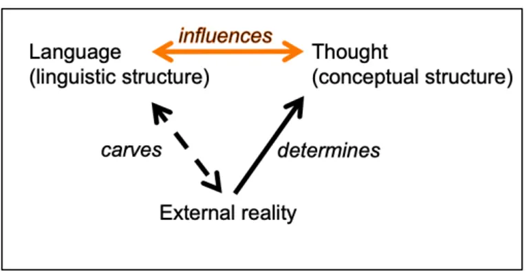 Figure 2. Rethinking the relativistic assumptions: the direction of the  influence between language and thought is inherently bidirectional