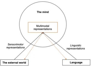 Figure  5.  Schematic for language-as-ingredient perspective. Multimodal  representations  comprise  elements  from sensorimotor and linguistic experiences (as well as more broadly social, cultural, emotional experiences,  and so on – that we not represent