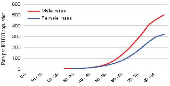 Figure 3. Age-specific incidence of CRC in men and women. (Adapted from Cancer Research:  bowel cancer incidence statistics, 2017)