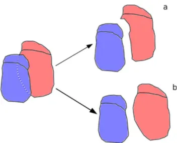 Figure 19 - representing overlapping features a) as adjacent tiles cutting the overlapping portion, b) maintaining the overlapping portion ensuring correct topological relations