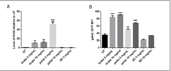 Fig. 2. Oxidative stress induction after exposure to PM samples. (A) ROS production levels estimated 
