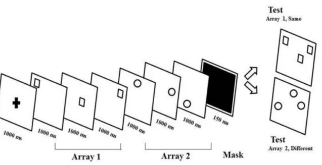 Figure 1.1: Illustration of a trial from the visuo-spatial working memory task used by  Chum et