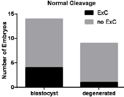 Fig 6  Comparison  of  ExC  formation  in  Embryos  with  normal  cleavage  arrived  at  blastocyst  stage  and  Embryos  with  normal  cleavage  degenerated  between morula and blastocyst stage