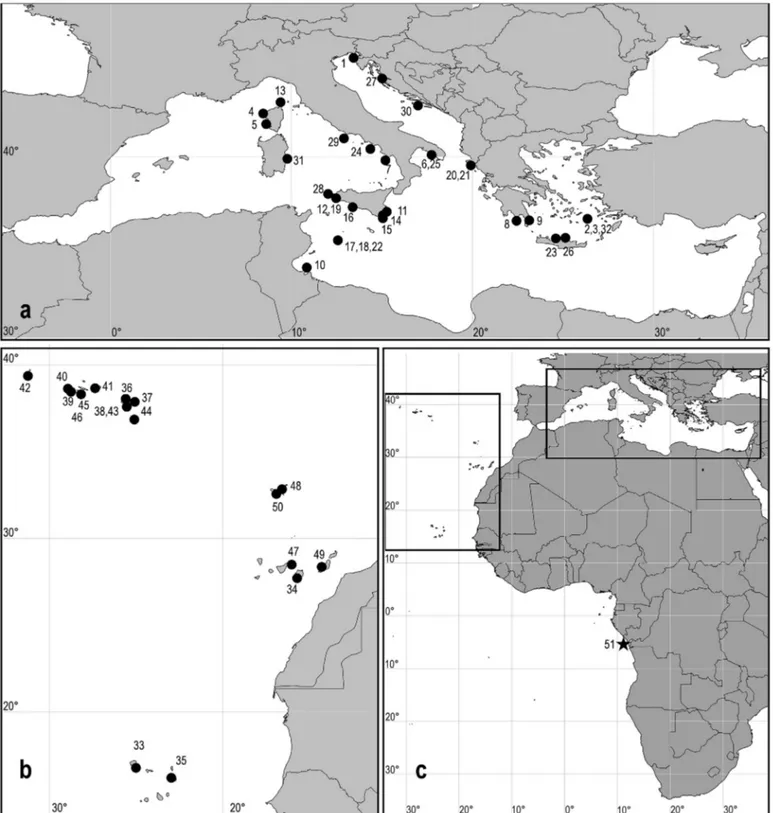 Fig. 1. Location of the sampling sites. a Mediterranean Sea (Columbella rustica). b Macaronesian archipelagos (C