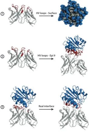 Figure 3: Summary of the three docking scenarios used in this work. The first case 