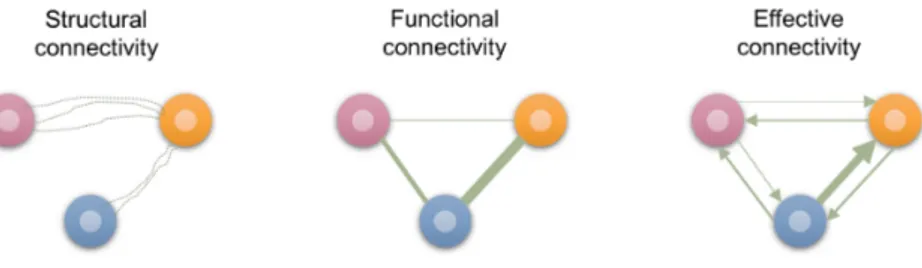 Figure 1.1: Types of connectivity Structural connectivity (due to physical connections), functional connectivity (due to statistical dependencies that do not imply causal connections and that is not directional) and effective connectivity (random and direc