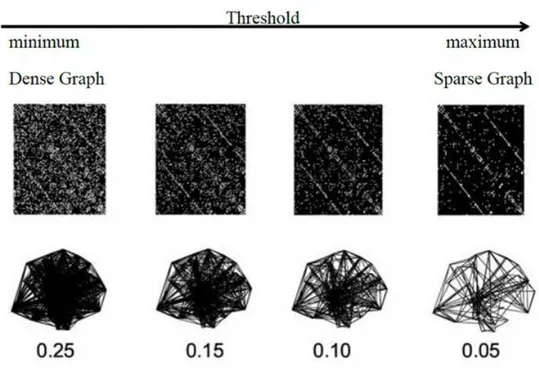 Figura 6.  Esempio dell’applicazione di diverse intensità di threshold.  Nell’immagine è 