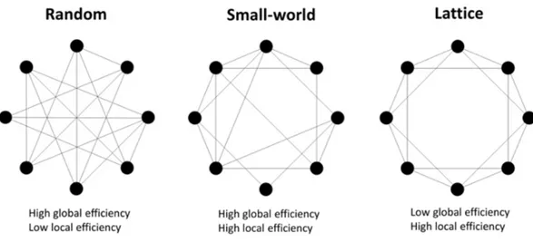 Figura 7. Esempio di diverse tipologie di network. Il primo, randomico, è caratterizzato da 
