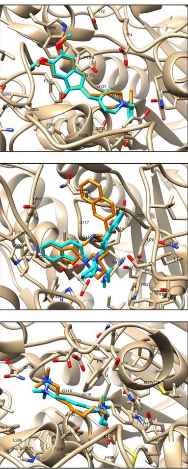 Figure  A3.1.  Superimposition  of  the  natural  ligand  in  its  original  position  in  the  crystal  structure  (donepezil,  cyan)  and  of  the  re-docked  ligand  in  its  top-scored  pose  (orange)  on  the  active site of hAChE (4EY7)