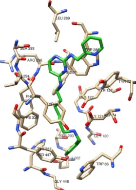 Figure  14.  Best  binding  poses  of  (pyridin-2- (pyridin-2-ylmethyl)pyrimidine  derivative  89  (green)  in  the  active  site  of  hAChE  (4EY7)