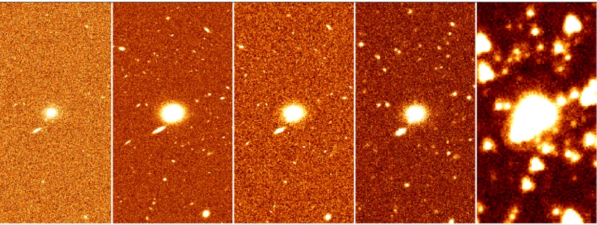 Figure 4.1. From left to right: Crops of the BG (Big Galaxy) image central area for VIS,