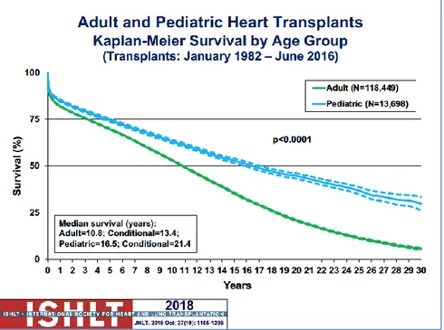 Figure 5: Adult and pediatric heart transplant Kaplan-Meyer cumulative survival curve 