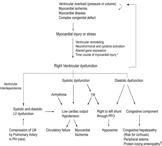 Figure 3. Scheme of the pathophysiological mechanisms of right ventricular dysfunction (form Haddad et al, Circulation 2008;117:1717-
