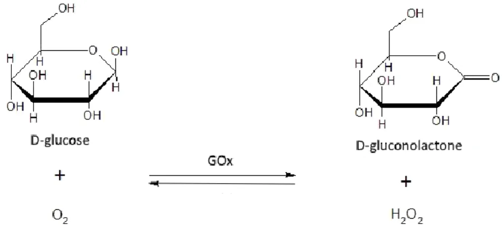 Fig. 3.15 Oxidation of glucose to gluconolactone with hydrogen peroxide formation, catalyzed by glucose 