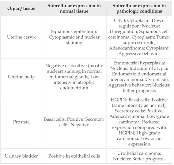 Table 1. Maspin expression in placenta, mammary gland and urogenital organs [Banias et 