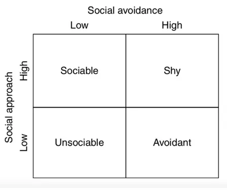 Figure 1.1 The interaction of social approach and social avoidance dimensions and resulting  four social behaviors (Schmidt, &amp; Miskovic, 2014 pag.54, in Coplan &amp; Bowker, 2014) 