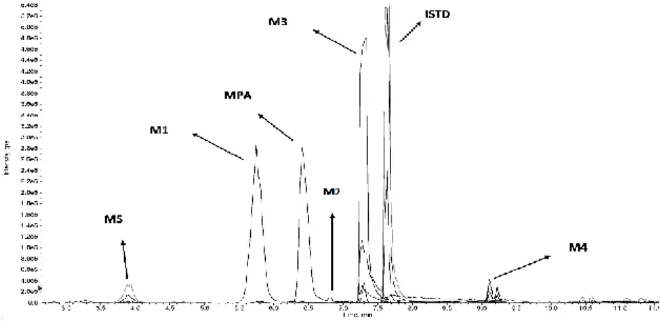 Figure III.5 extracted chromatograms of an urine phase II sample after 3 hours from the administration 