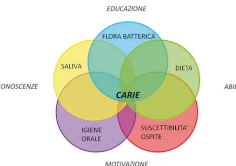 Figura 3. Fattori coinvolti nello sviluppo della carie: fattori direttamente implicati, fattori ambiente 