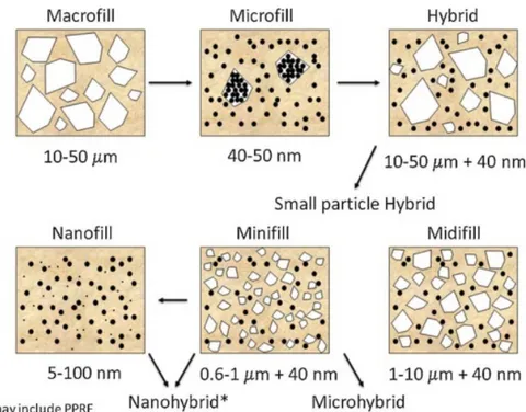 Figura 6. Classificazione delle resine composite in base alle dimensioni delle particelle di riempitivo
