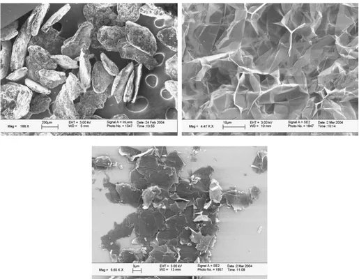 Figura 12. Immagine al SEM di GIC (a), EG (b) ed esfoliata mediante sonicazione (c) 