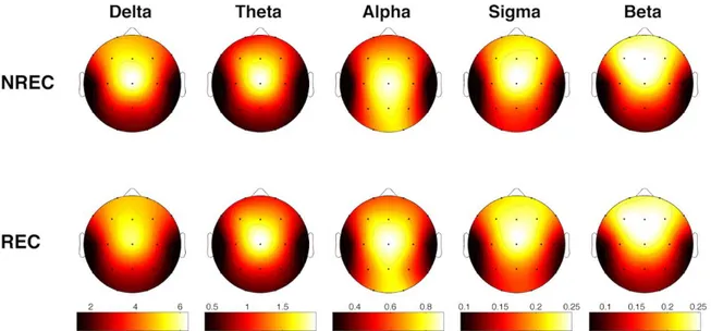 Figura 2. Mappe topografiche descrittive delle potenze spettrali medie relative ai  nap in fase REM