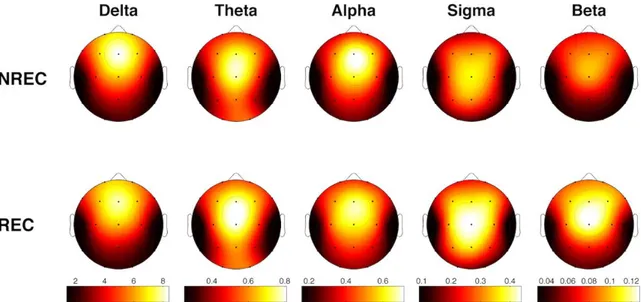 Figura 7. Mappe topografiche descrittive delle potenze spettrali medie relative ai nap in fase NREM