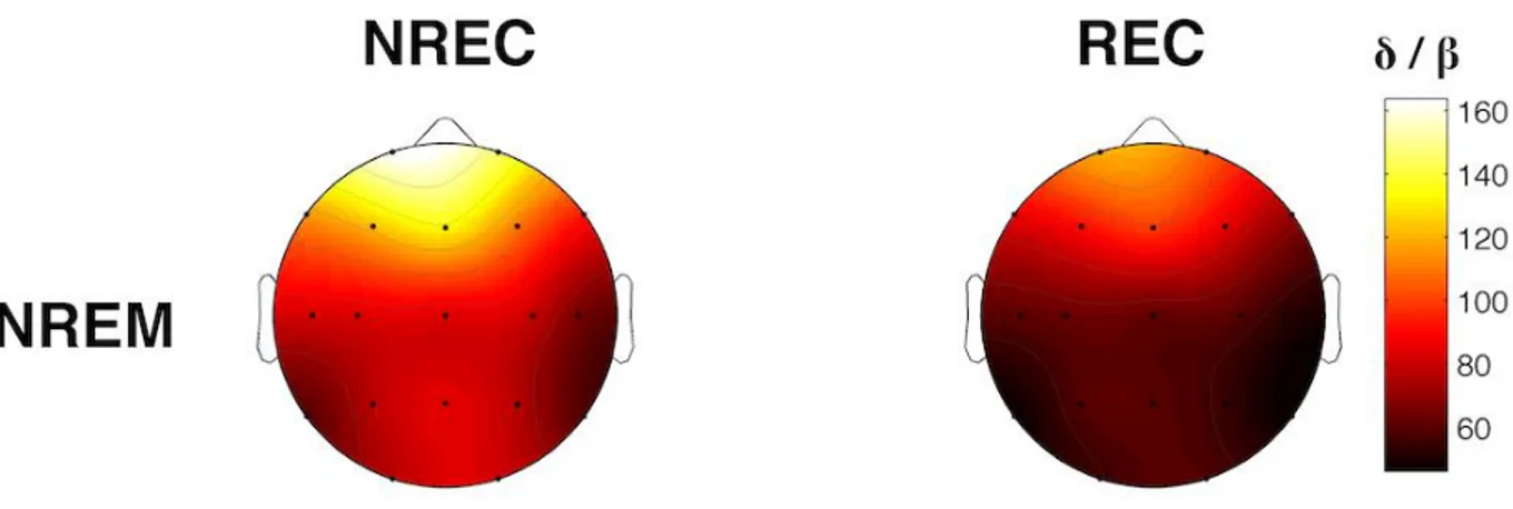 Figura 10. Mappe topografiche descrittive dei valori dell'indice di attivazione nelle condizioni REC e NREC per  il sonno NREM