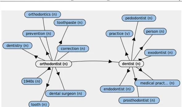 Figure 3.2. Portion of BabelNet graph including the pair orthodontist-dentist and close related synsets